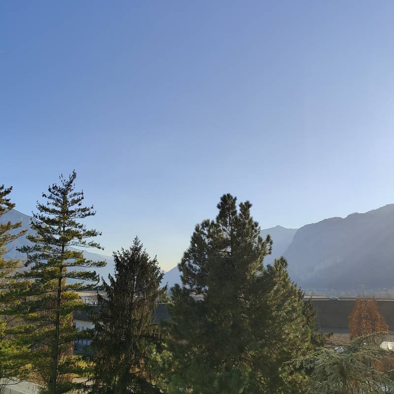 Fotosegnalazione di Trento centro