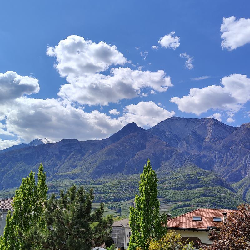 Fotosegnalazione di Trento centro