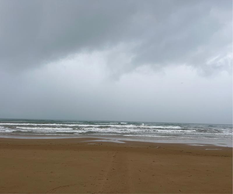 Fotosegnalazione di Rodi garganico
