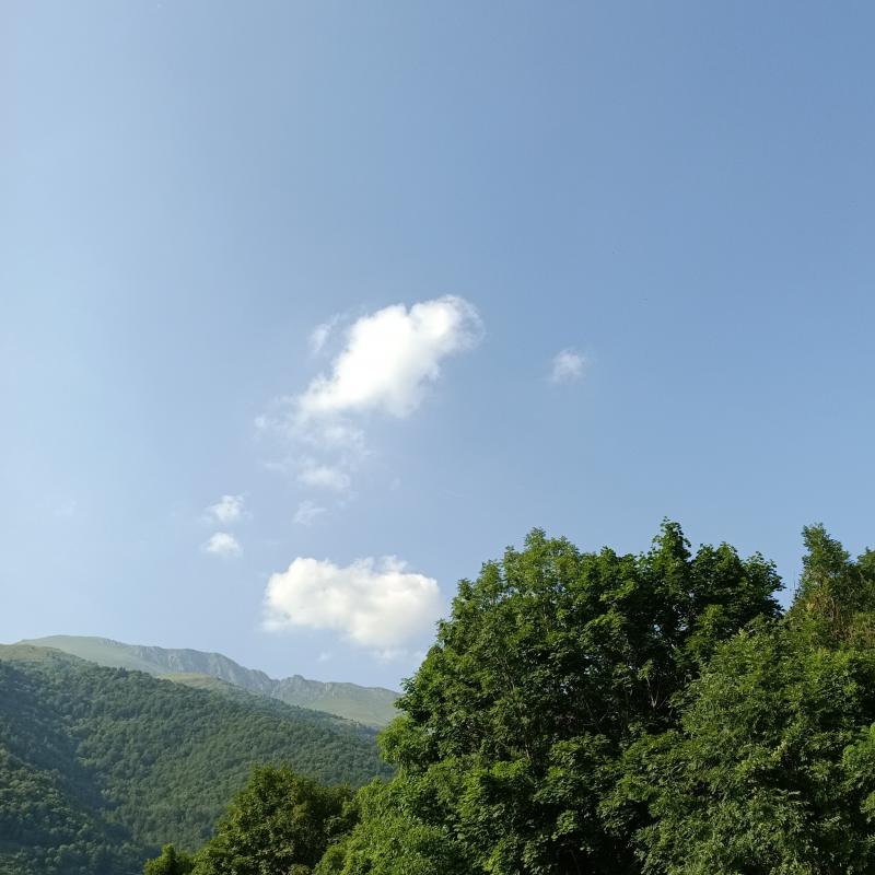 Fotosegnalazione di Ormea
