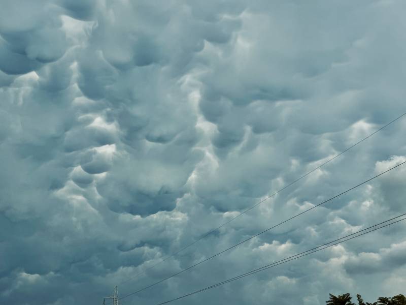 nuvole mammatus