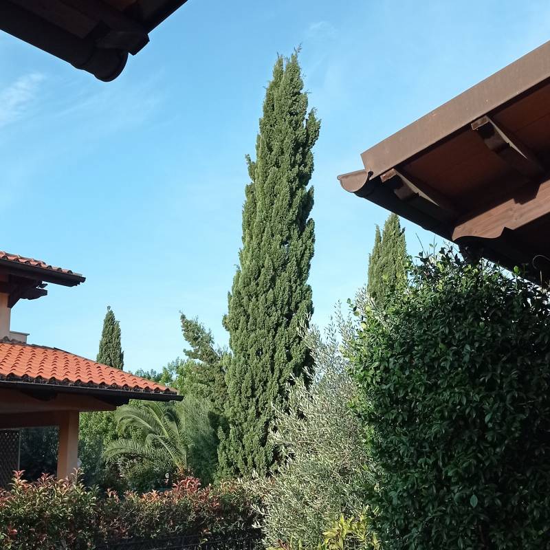 Fotosegnalazione di Roma castel fusano