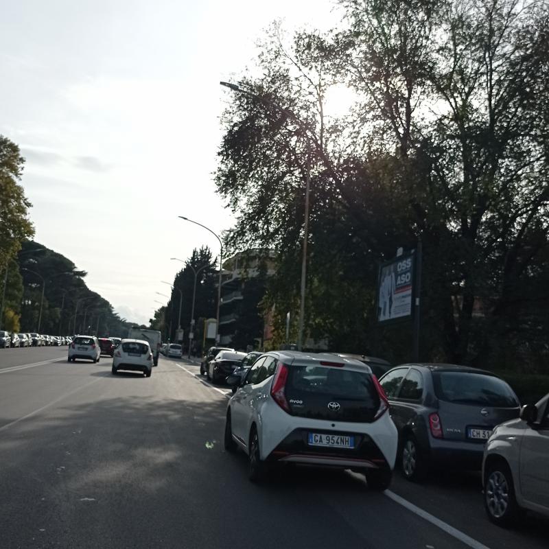 Fotosegnalazione di Roma eur