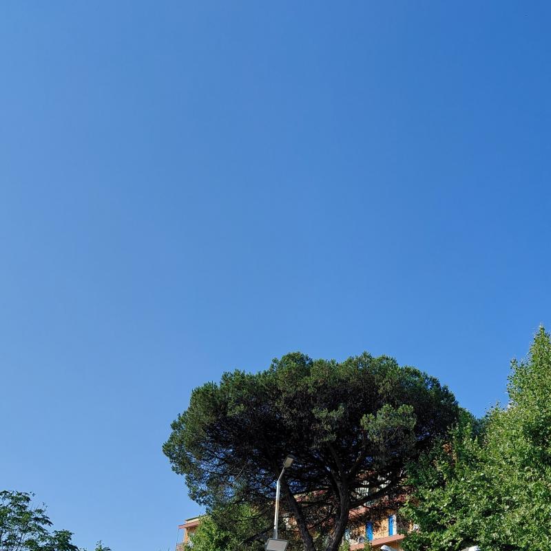 Sereno