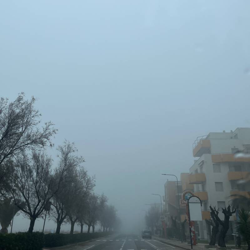 Fotosegnalazione di Senigallia