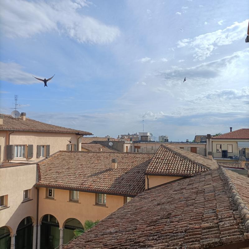 Fotosegnalazione di Pesaro centro urbano