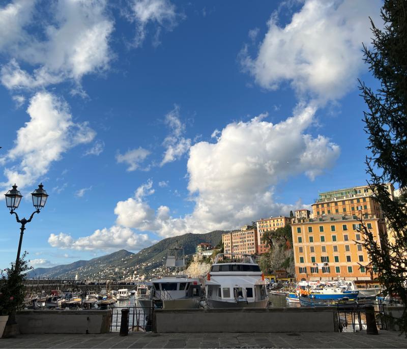 Fotosegnalazione di Camogli