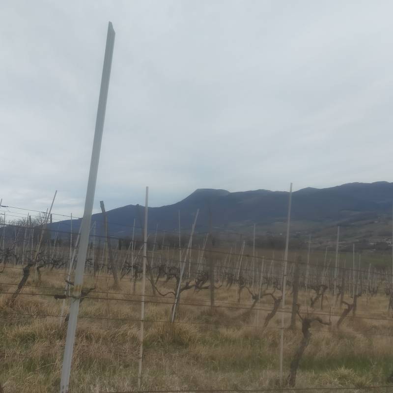 Fotosegnalazione di Castelraimondo