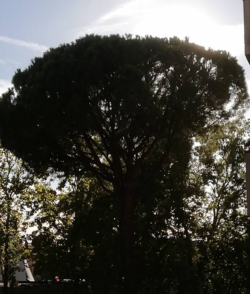 grosseto zona verde maremma