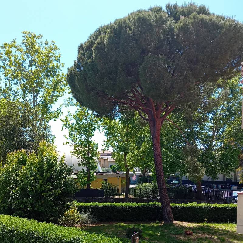 Grosseto verde maremma