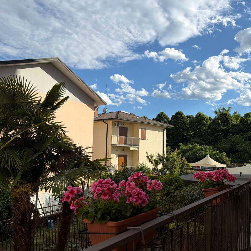 Fotosegnalazione di Lodi centro