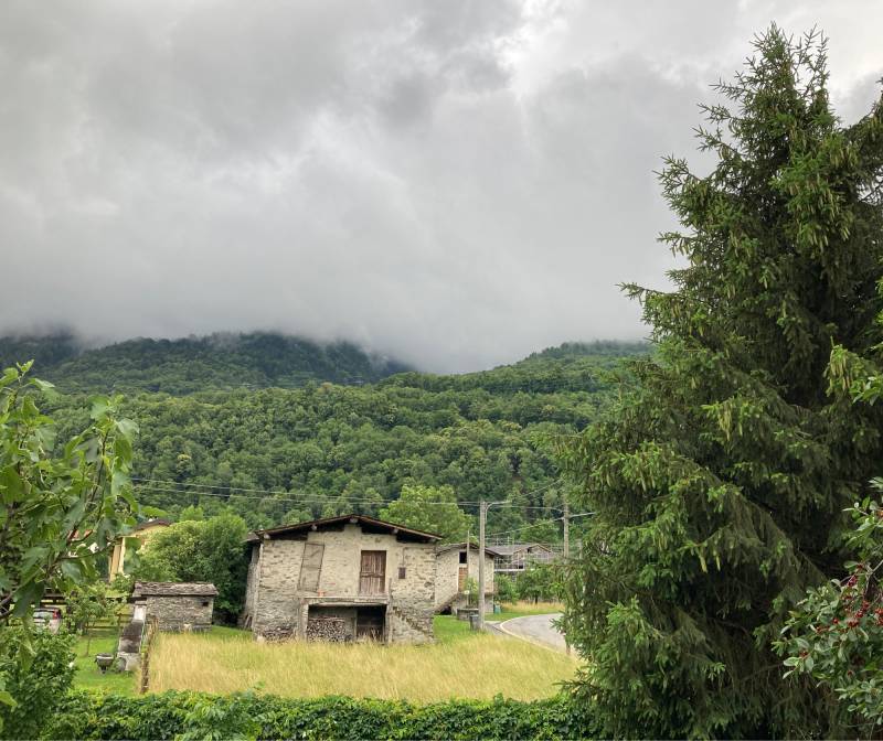Primo pomeriggio di martedi' 7 giugno 2022 - ore 12.35