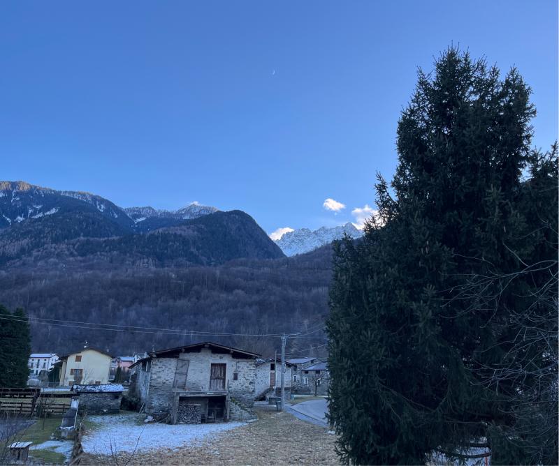 Pomeriggio di lunedi' 15 gennaio 2024 - ore 15.47