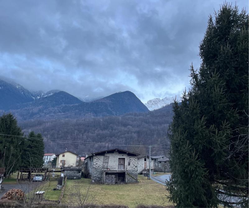Serata di martedi' 7 gennaio 2025 - ore 16.47
