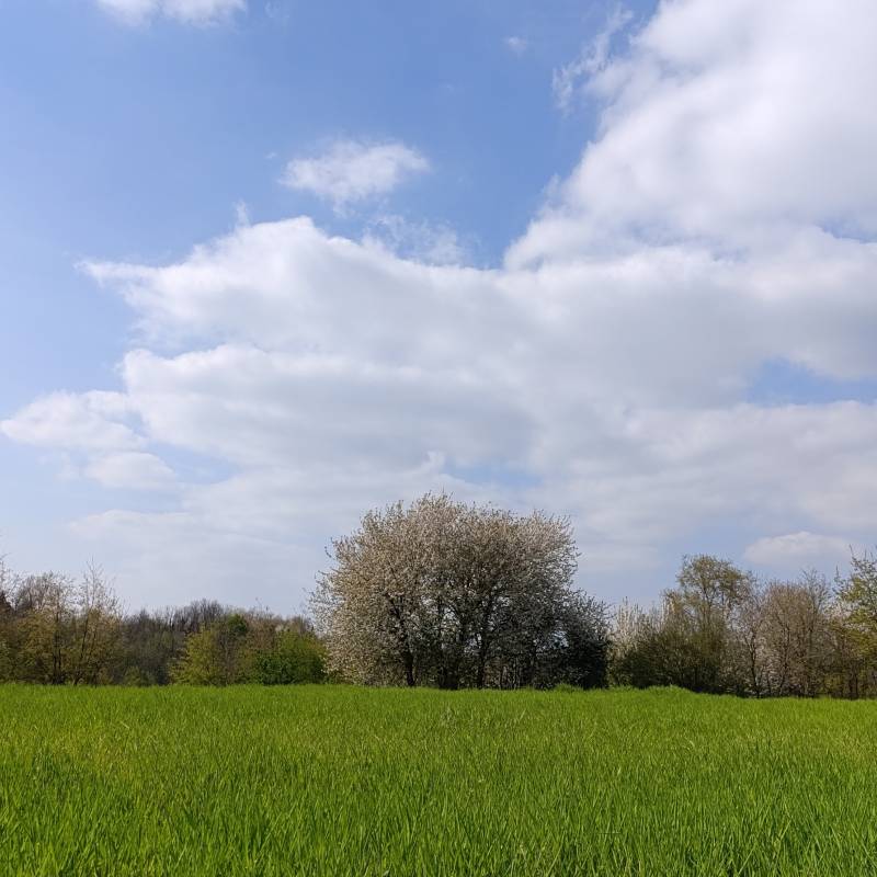 Fotosegnalazione di Besana in brianza