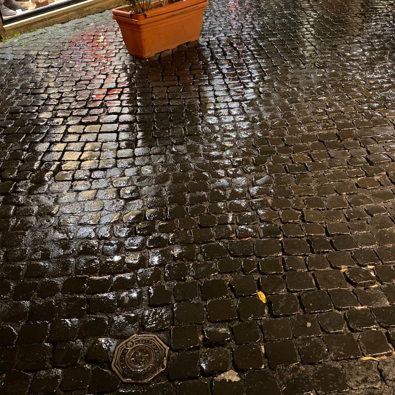 Fotosegnalazione di Roma campo marzio