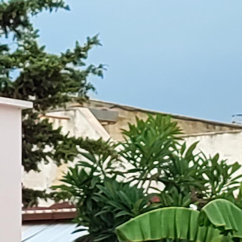 Fotosegnalazione di Campobello di mazara
