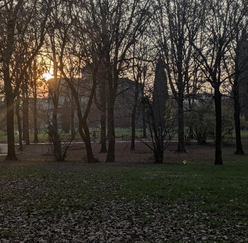 l'avvenenza di un quartiere fantastico della citta'