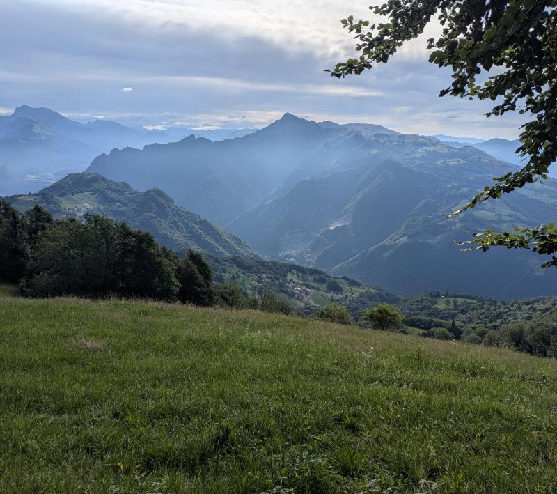 frescura