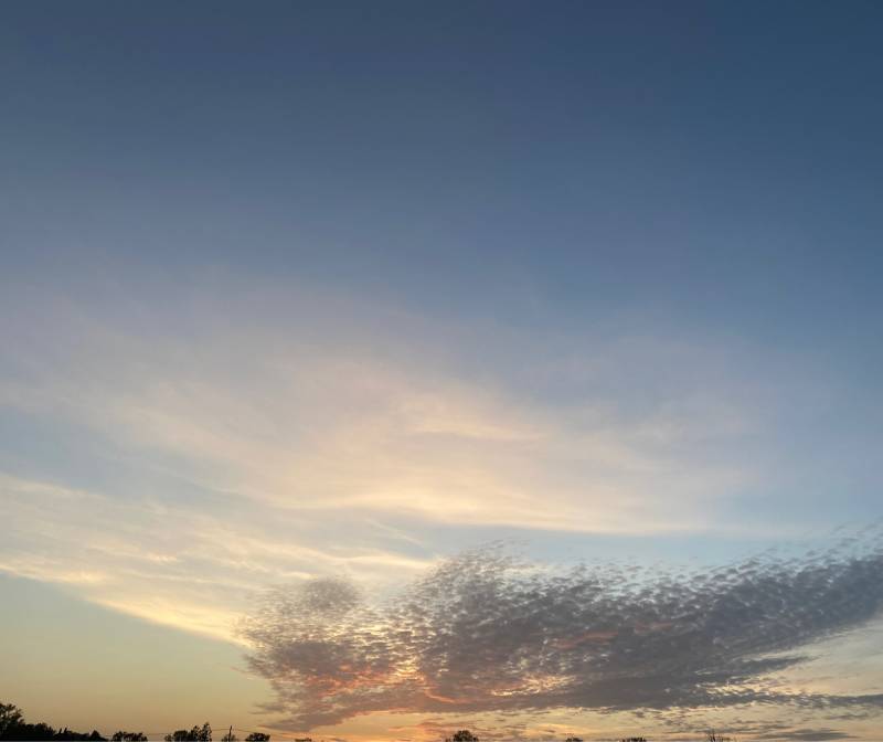 Fotosegnalazione di Rivignano teor