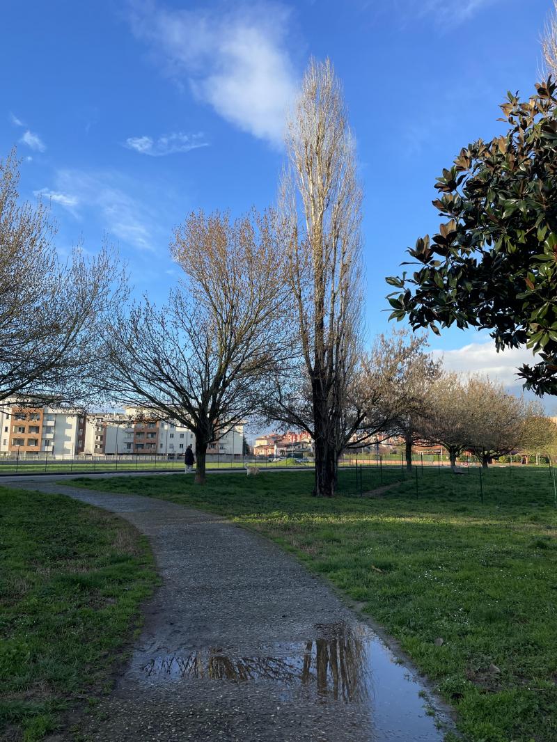 finalmente un po di cielo azzurro