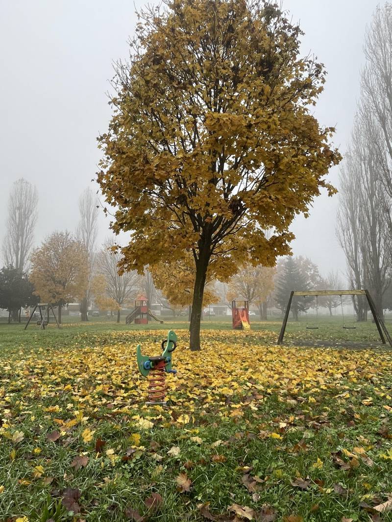 Fine autunno ad Opera