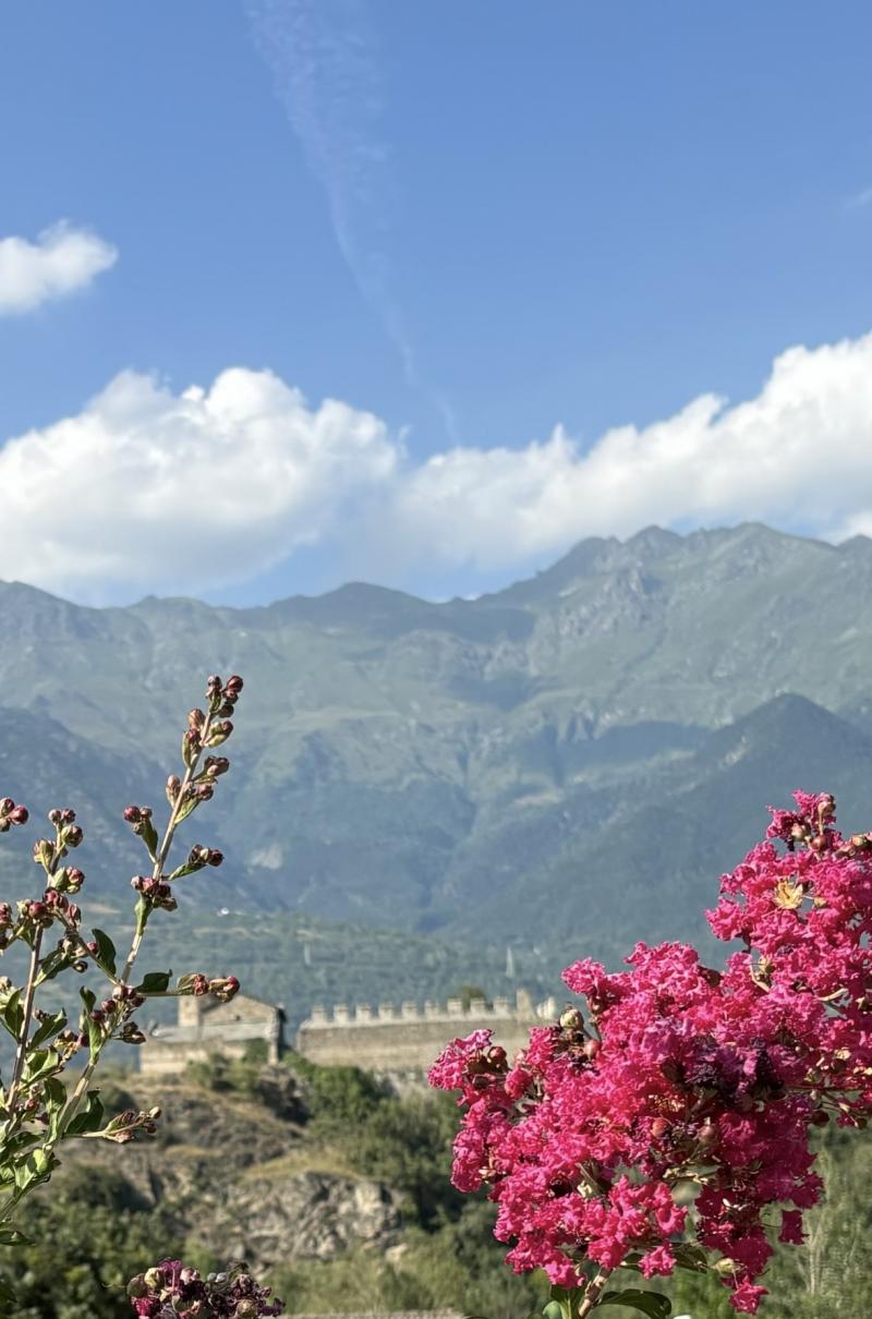 foto segnalazione San Giorio di Susa