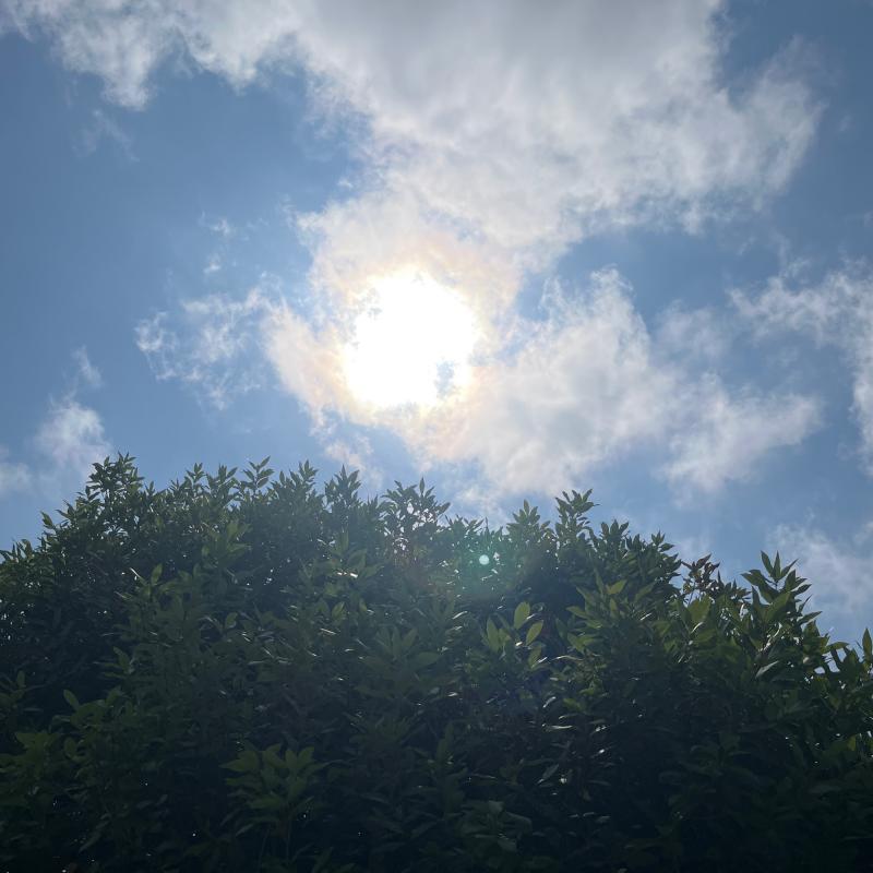 Fotosegnalazione di Lavagna