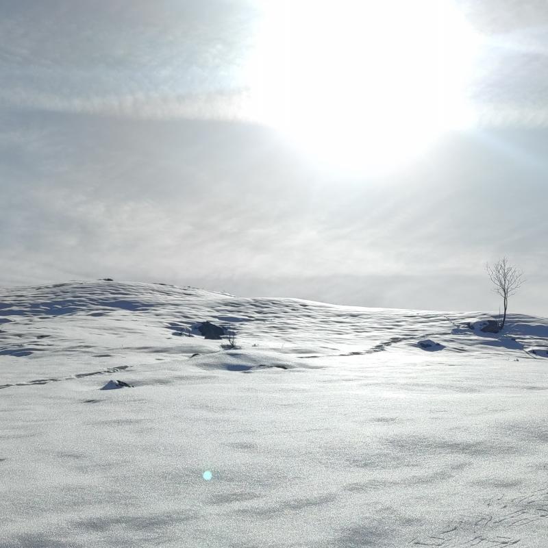 Fotosegnalazione di Frabosa sottana