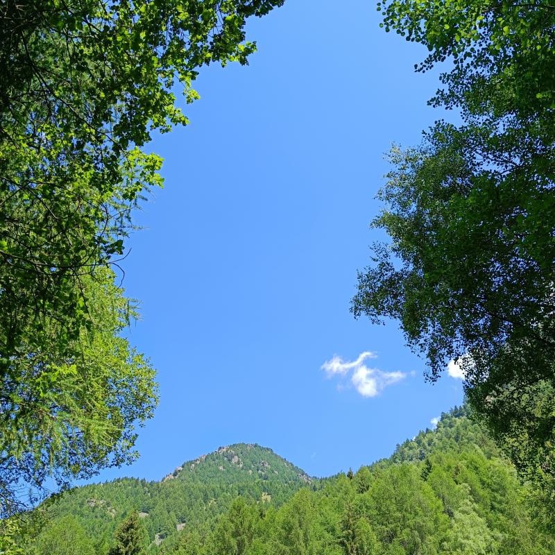 Poche nuvole molto sole
