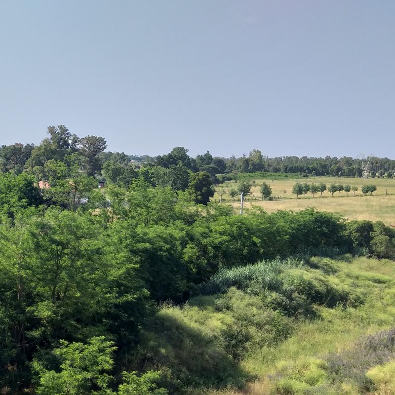Fotosegnalazione di Latina est