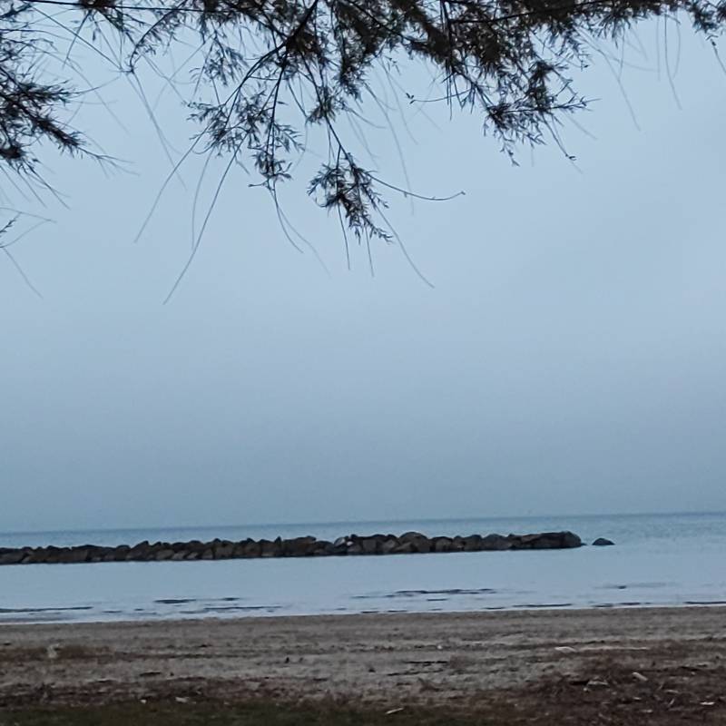 Fotosegnalazione di Campofilone