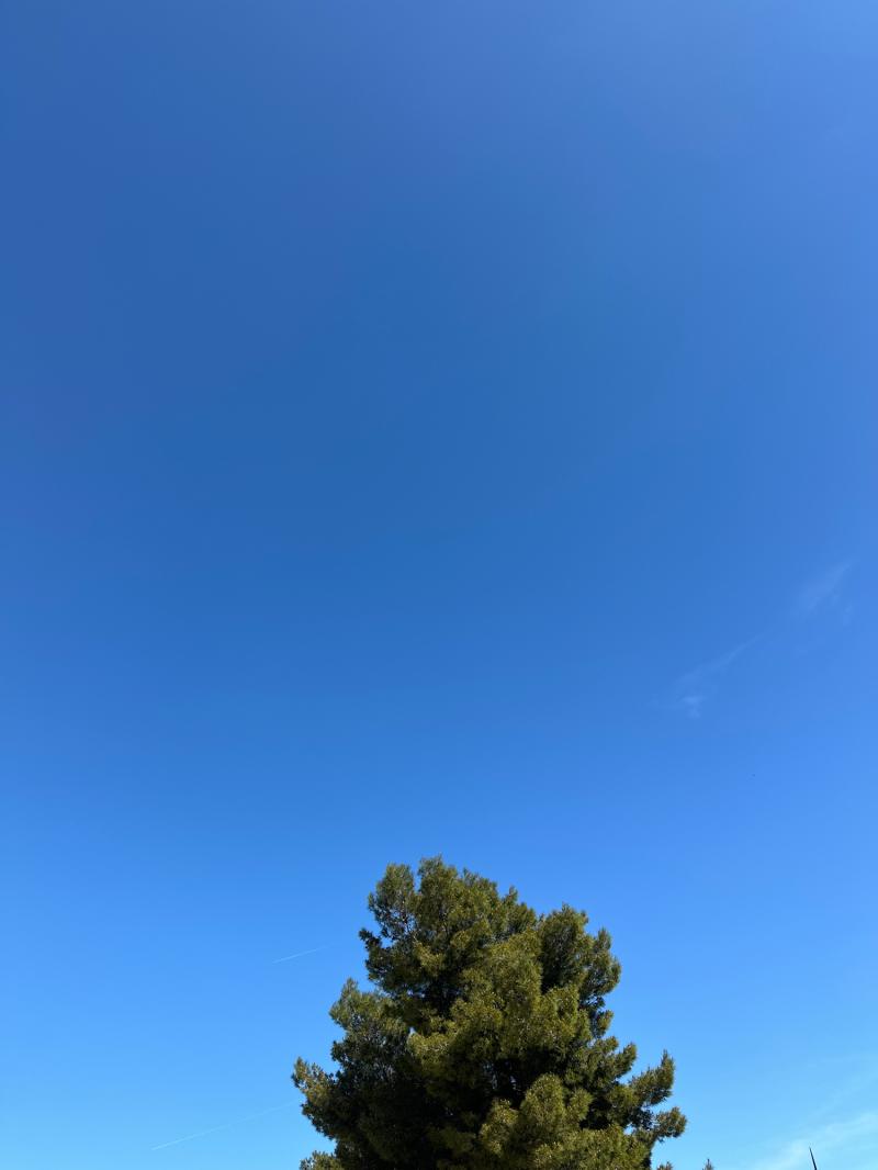 Fotosegnalazione di Bari palese - santo spirito