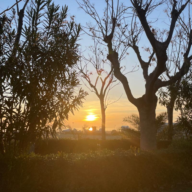 Fotosegnalazione di Tortoreto lido