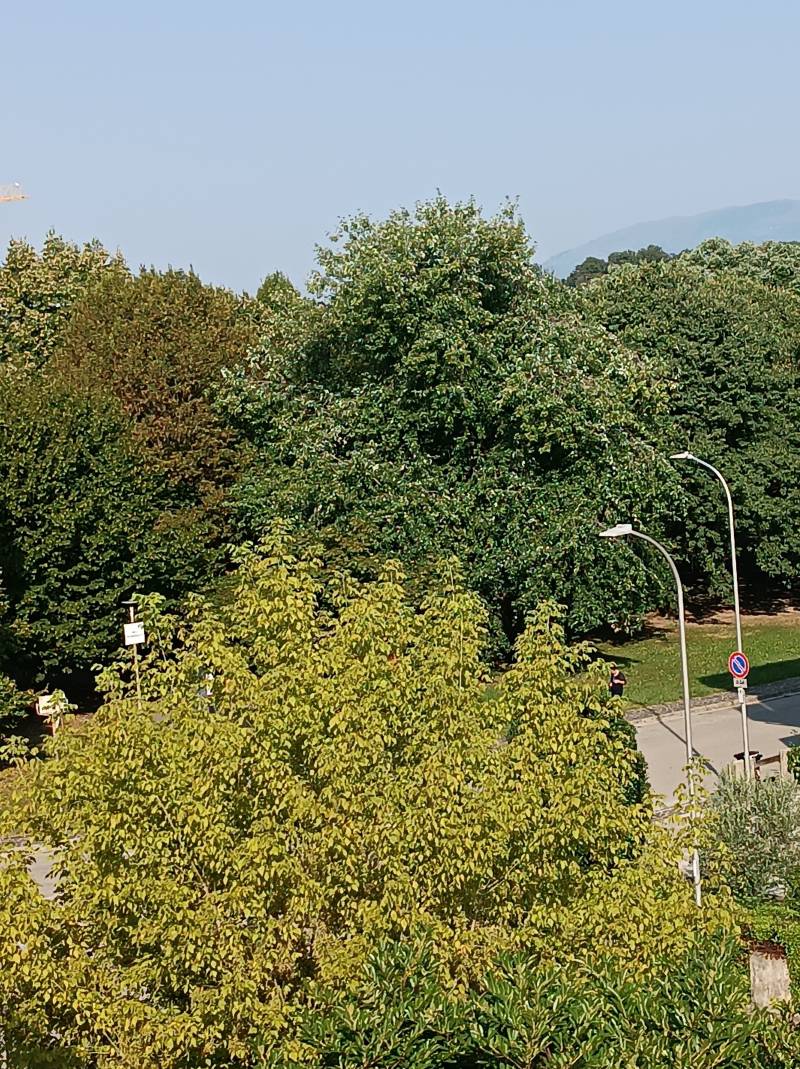 parco di pare'