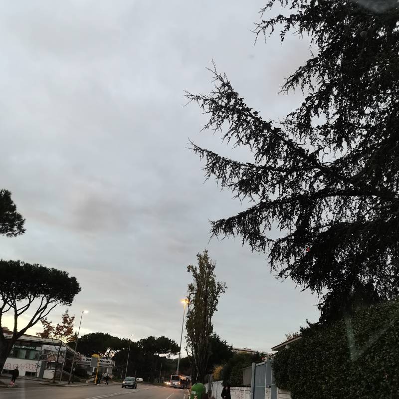 Fotosegnalazione di Roma torrino