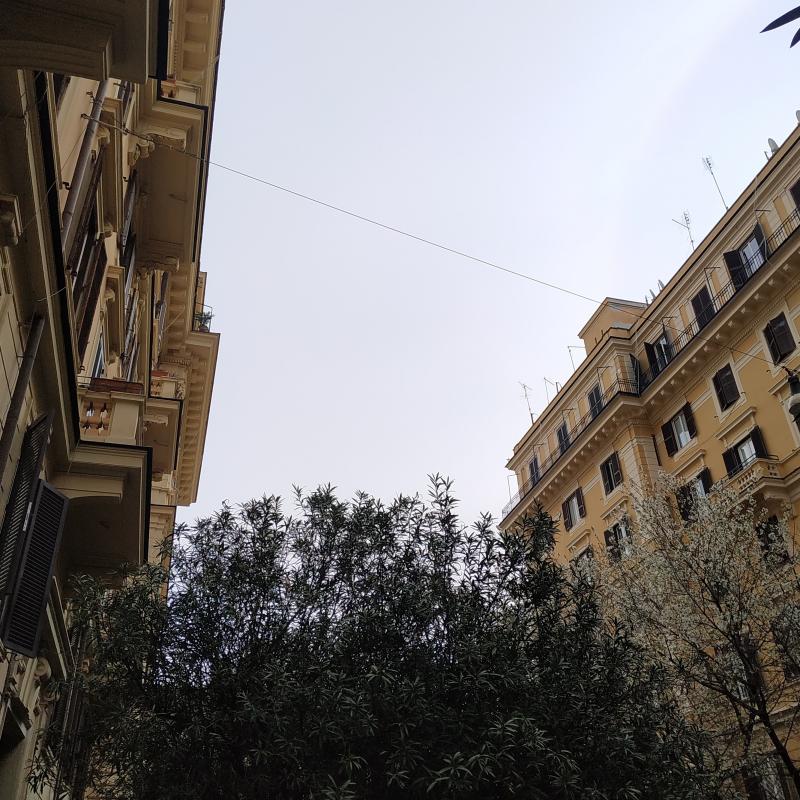 Fotosegnalazione di Roma pinciano