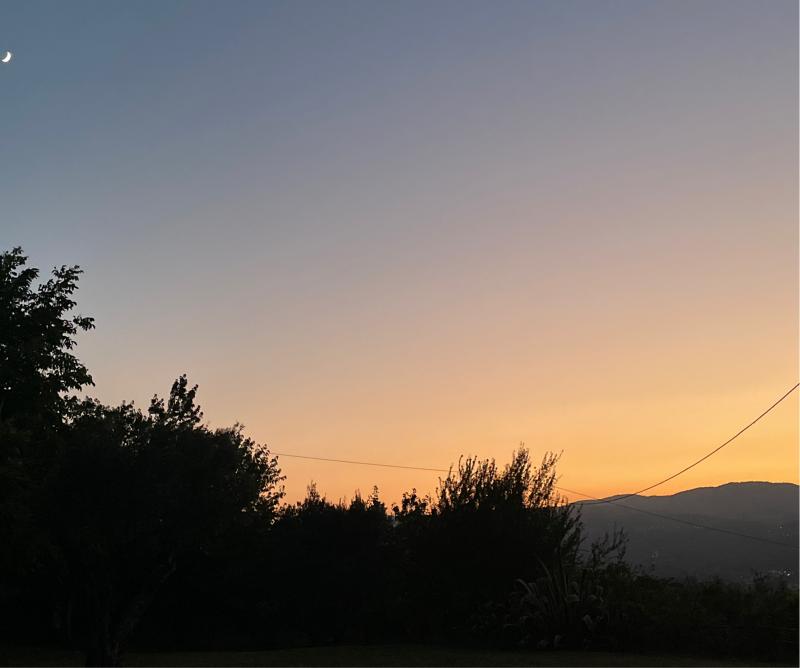 Fotosegnalazione di Chiaravalle centrale