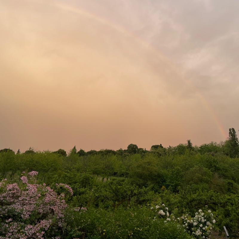 Fotosegnalazione di Cesena rubicone