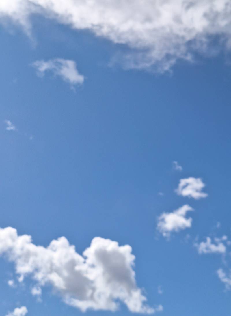 cielo biedano.