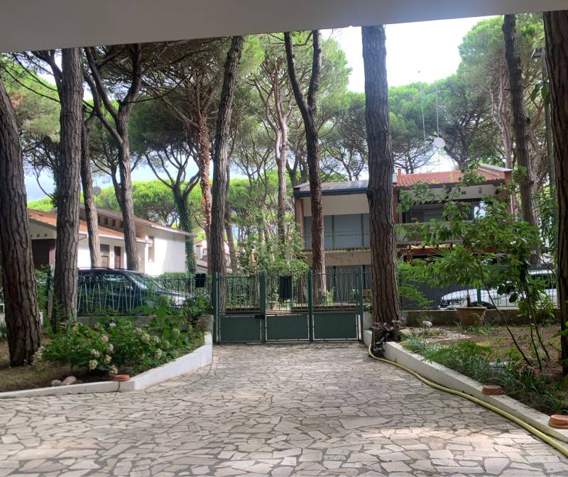Non piove