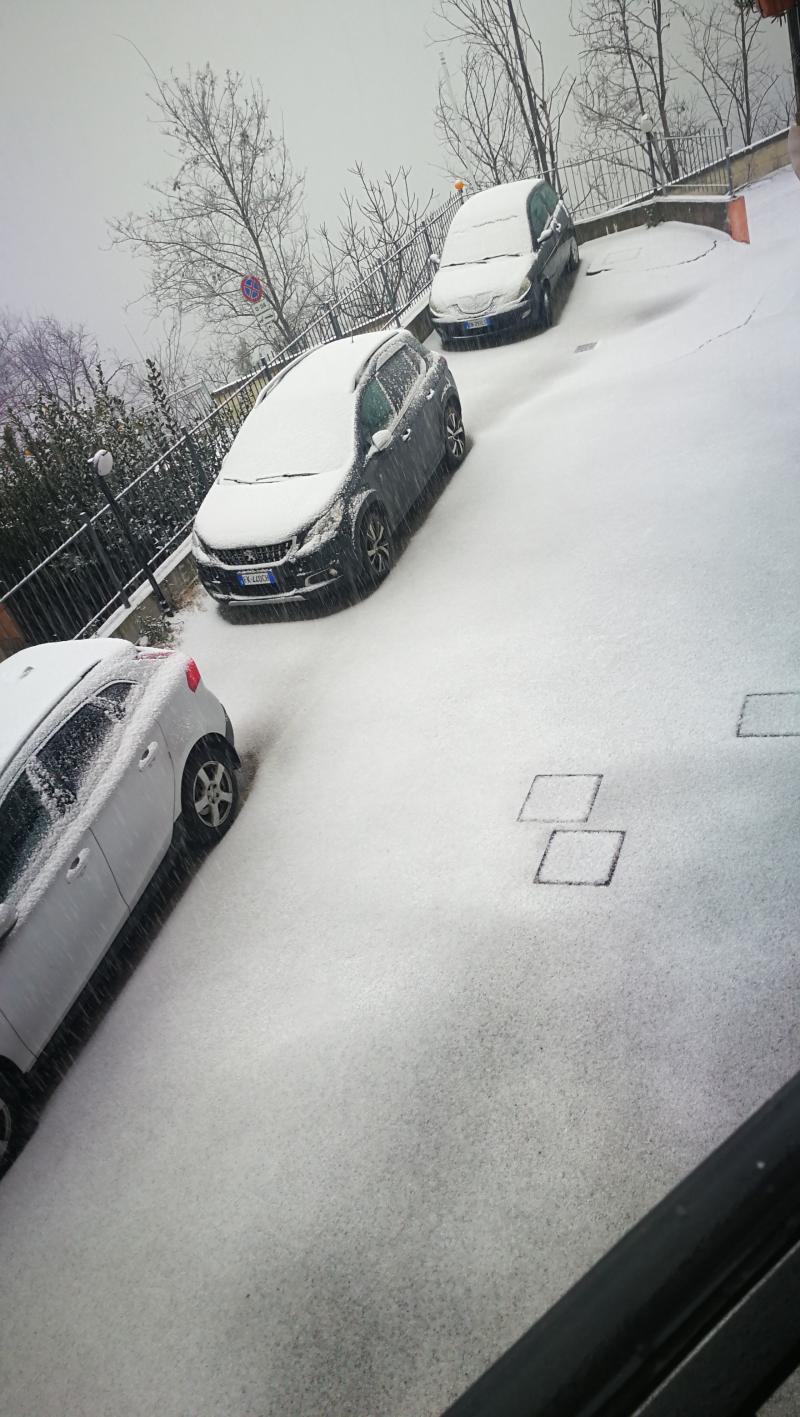neve del 08.02 23