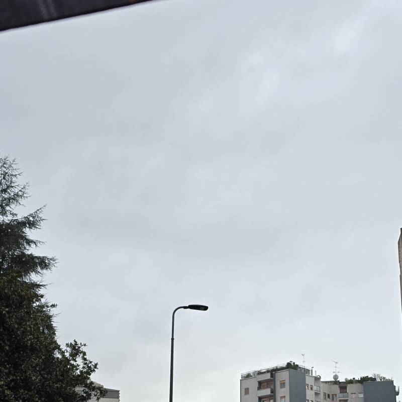 Fotosegnalazione di Milano crescenzago