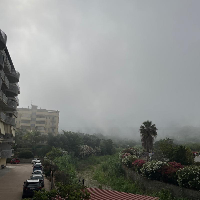 Nebbia