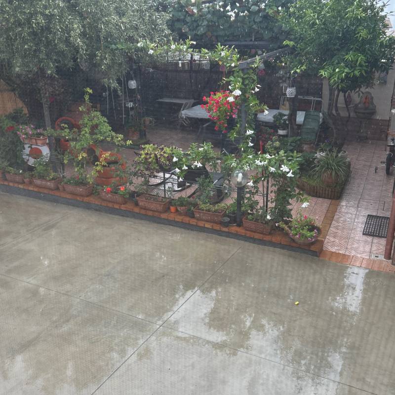 Piove moderatamente ma voi mettete sole come le fate le previsioni