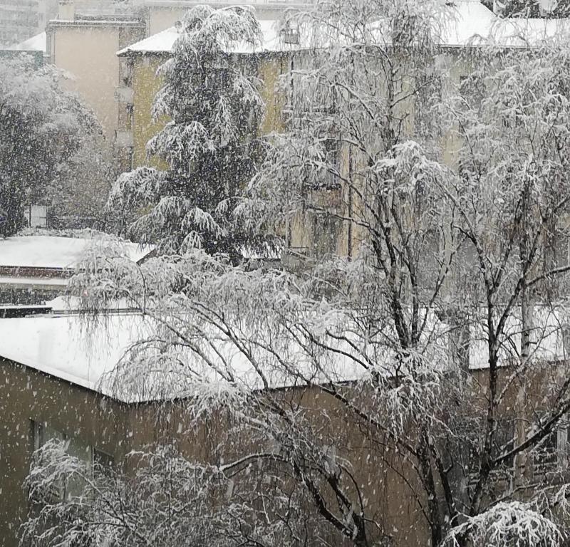 Nevicata di Febbraio a Bolzano-Gries