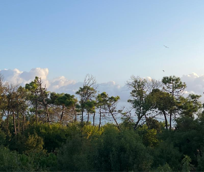 Nuvole in avanzamento