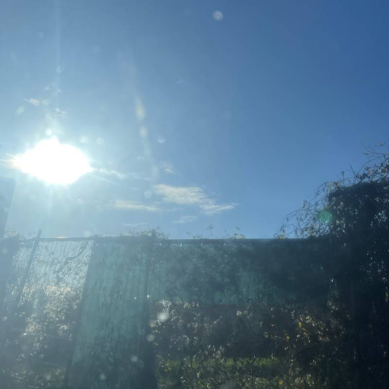 Fotosegnalazione di Firenze rifredi