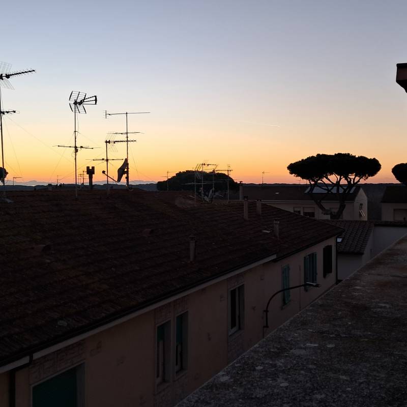 Fotosegnalazione di Donoratico