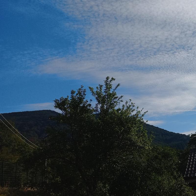 Fotosegnalazione di Zeri